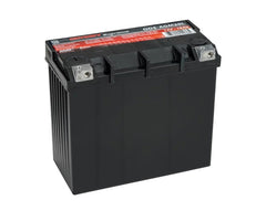Odyssey Battery Powersport Extreme AGM Battery ODS-AGM20L