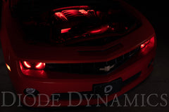 Diode Dynamics RGBW Engine Bay Strip Kit 4pc DD0444