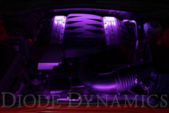 Diode Dynamics RGBW Engine Bay Strip Kit 2pc DD0440