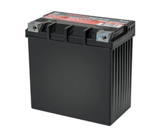 Odyssey Battery Powersport Extreme AGM Battery ODS-AGM14