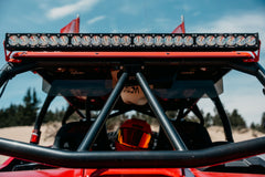 Chupacabra 12" SUN VISOR (Pair Driver/ Passenger)