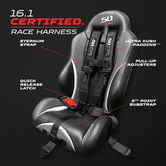 SFI Approved 2" and 3" 5 point Harness, Racing Harness