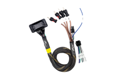 UTV Stereo JBL® RCA Output Harness | UTVS-JBL-RC-RCA-OUT