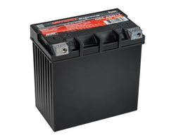 Odyssey Battery Powersport Extreme AGM Battery ODS-AGM14