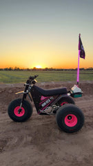 Game Changer LED Whip Set - Malibu Barbie Pink - Marshin Whips