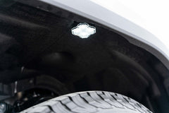 Diode Dynamics Stage Series Single-Color LED Rock Light, Red M8 (2-pack) DD7458
