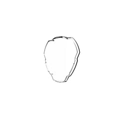 KC HiLiTES FLEX ERA 3 - Light Shield / Hard Cover - Clear 5319