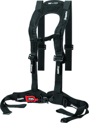 DragonFire Racing Harness Evo- Black 520761
