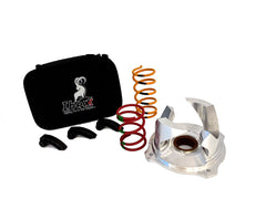 Ibexx Rzr 900 Stage 2
