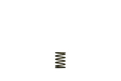 Turbosmart Gen-V WG38/40 Wastegate Replacement Springs