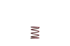 Turbosmart Gen-V WG38/40 Wastegate Replacement Springs