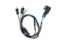 RZR® Pro Series Ride Command Subwoofer RCA Output Harness + Remote | UTVS-PRO-RC-SUB-OUT