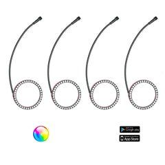 187 Style YXZ Halos with Control Harness - 5150 Whips