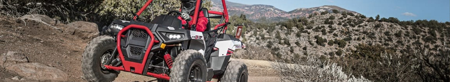 Polaris ACE banner