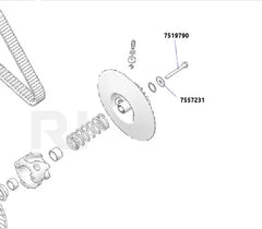 RPM RZR Pro R TITANIUM Secondary Bolt & Washer 7519790 / 7557231: HEX FLANGE M10X1.5X90